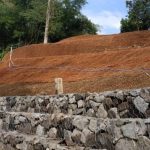 Jaringan sabut kelapa untuk reklamasi