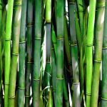 papan bambu untuk dekorasi rumah