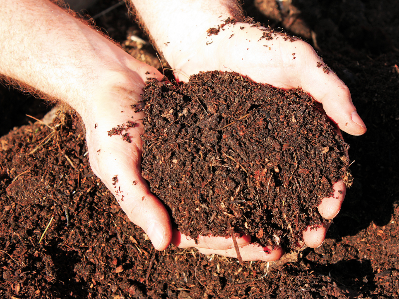 Panduan Membuat Kompos Organik