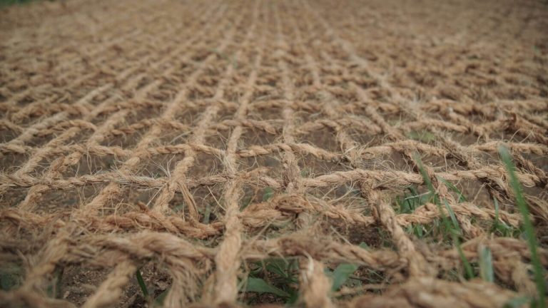 Fungsi jaring sabut kelapa Alami