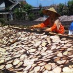proses pembuatan tepung porang