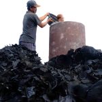 Coconut Shell for Charcoal