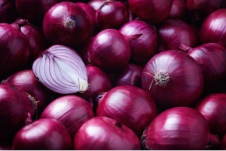 Peluang Usaha Alat Pengupas Bawang Otomatis