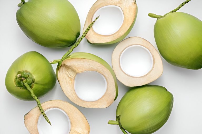 usaha rumahan olahan kelapa