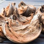 sabut kelapa untuk meningkatkan daya serap nutrisi tanah