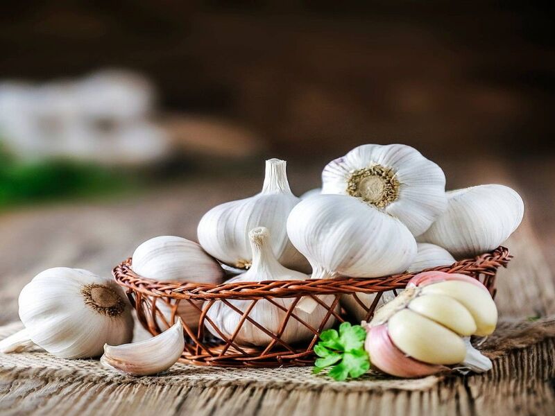 analisis bisnis bawang putih
