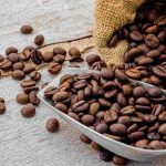 keunggulan kopi hasil sortasi kopi