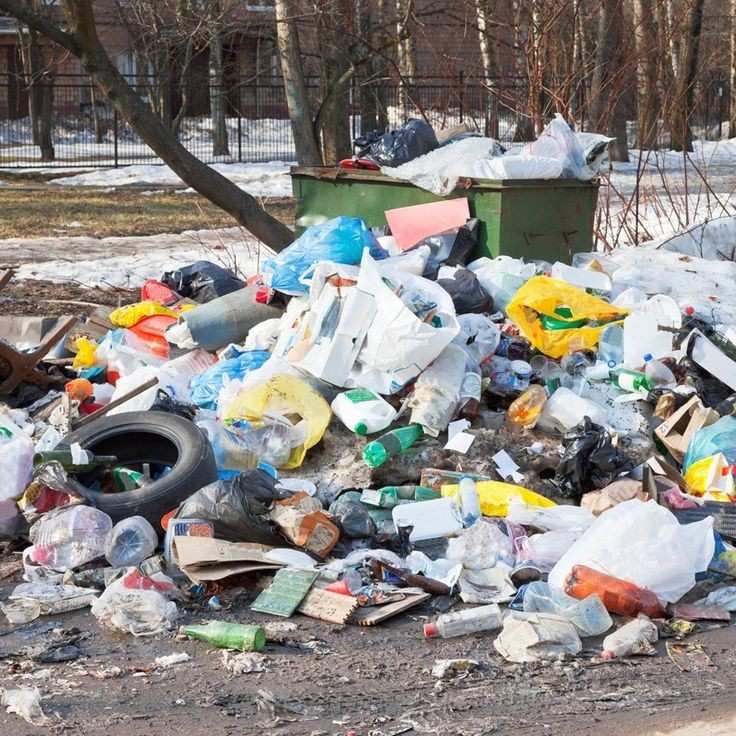 Pot Tanaman Plastik Bekas Untuk Pemanfaatan Kreatif pot tanaman plastik bekas