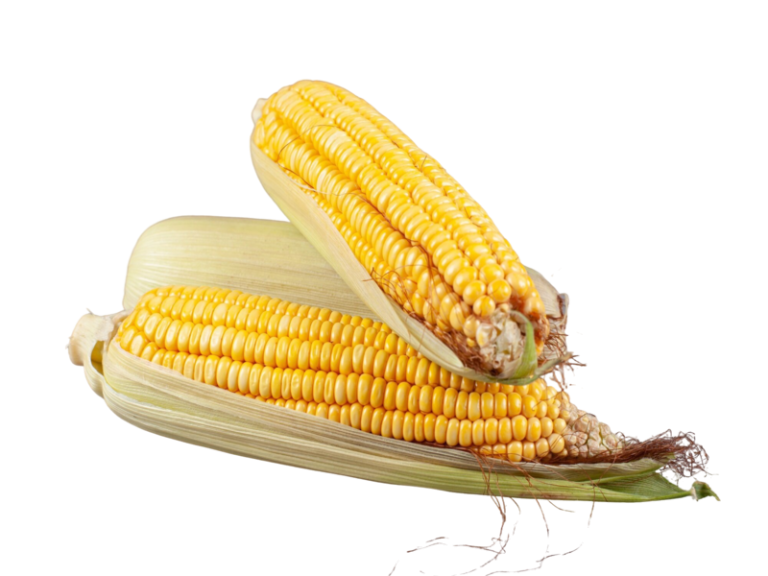 Cara mudah membuat emping jagung