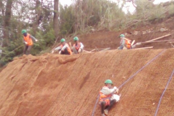 cocomesh alami sebagai pengendali banjir di daerah pesisir rendah