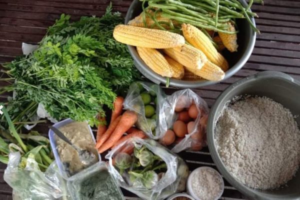 Kontrol Aktif Kualitas Makanan Berbasis Sayuran Segar