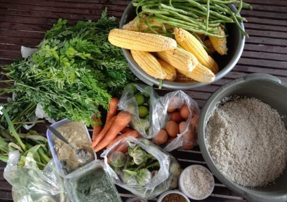 Kontrol Aktif Kualitas Makanan Berbasis Sayuran Segar