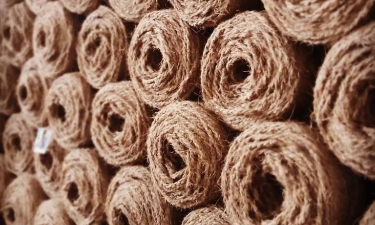 Peluang Bisnis Ekspor Cocomesh ke Timur Tengah