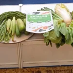 rekomendasi supplier dapur MBG