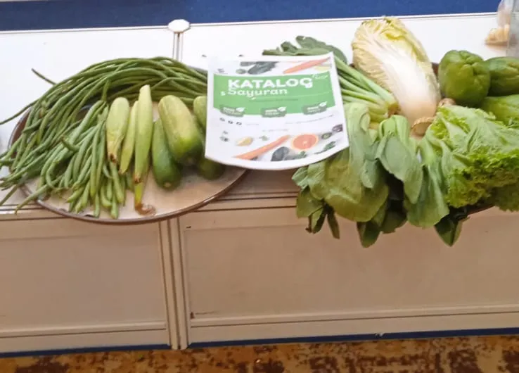 Rekomendasi Supplier Dapur MBG yang Andal dan Terpercaya