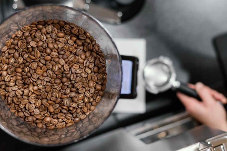 mengolah biji kopi mentah