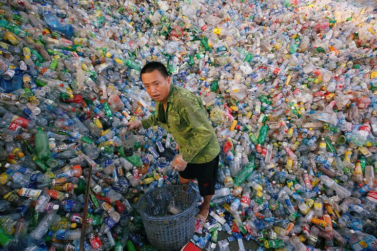 dampak plastik bagi lingkungan