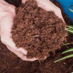 bisnis cocopeat menguntungkan