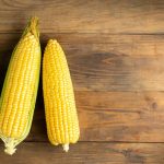 Manfaat Mesin Penggiling Janggel Jagung