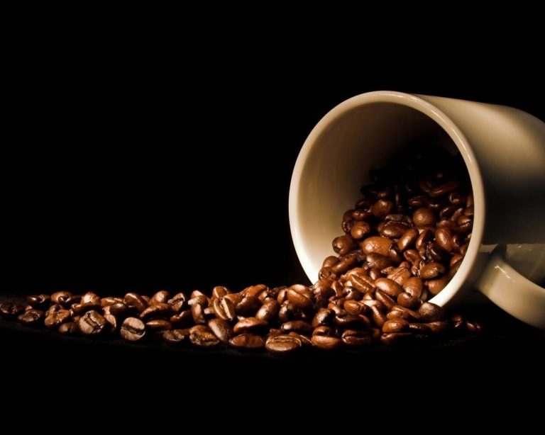 Teknik Pengolahan Biji Kopi