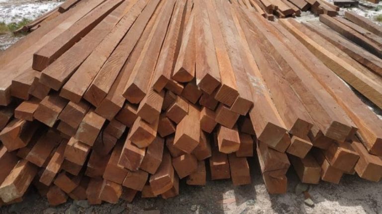 Tips Memilih Mesin Serut Duduk