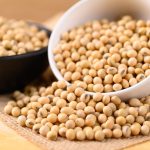 Cara Mengolah Kedelai Sebelum Tempe