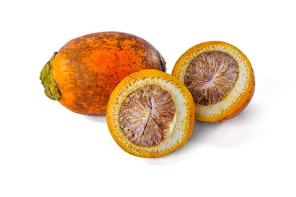 Mesin Belah Pinang Kapasitas Besar