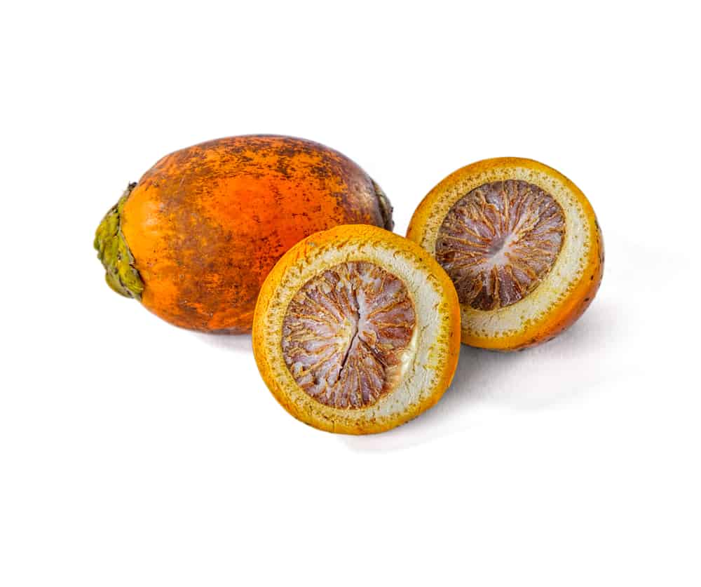 Mesin Belah Pinang Kapasitas Besar