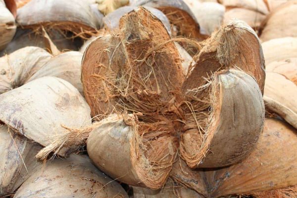 esin Pengurai Sabut Kelapa untuk Usaha