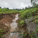 Pengelolaan lahan saat musim hujan dengan drainase dan vegetasi penutup tanah