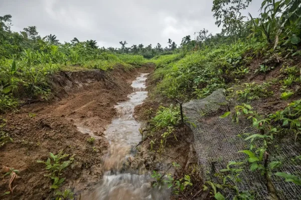 Pengelolaan lahan saat musim hujan dengan drainase dan vegetasi penutup tanah