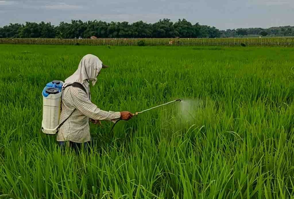 menghemat tenaga saat pemupukan